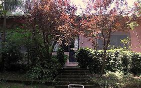 Altare del Lupo